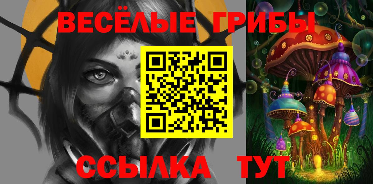 Псилоцибиновые грибы Psilocybe  Вход с VPN  где продают наркотики  Алексин 