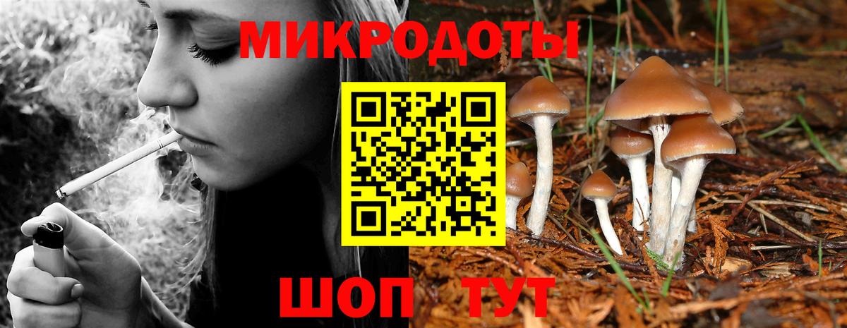 Псилоцибиновые грибы прущие грибы Алексин